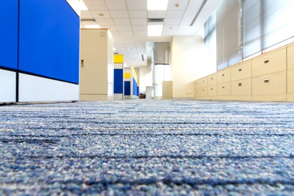 Business Carpet Cleaning in Virginia Beach
