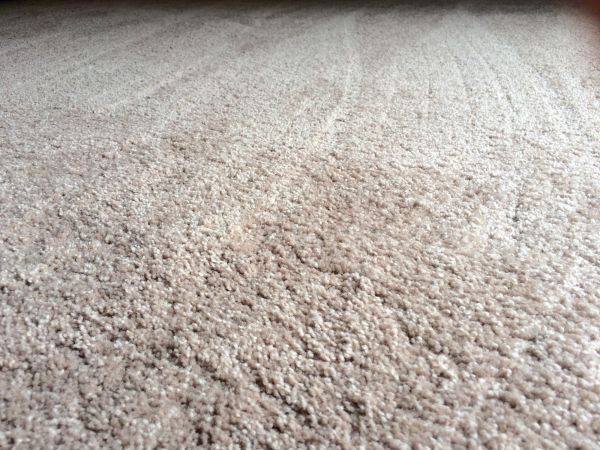 Plush Carpet Installation in Virginia Beach