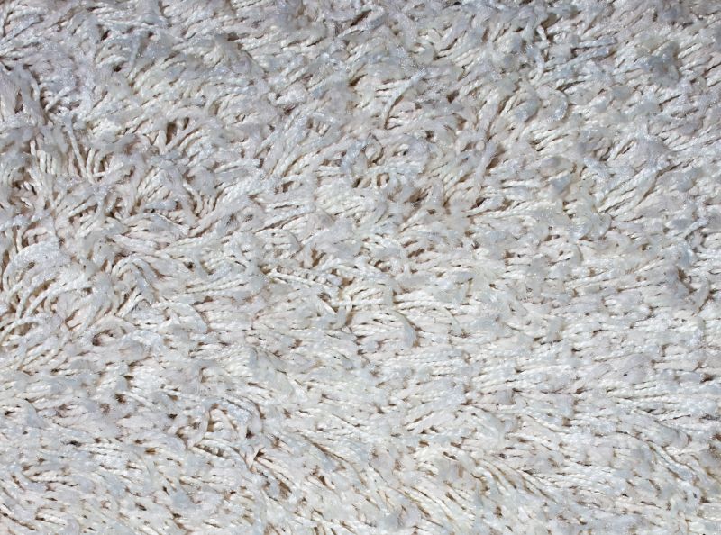 Holiday Carpet Preparation