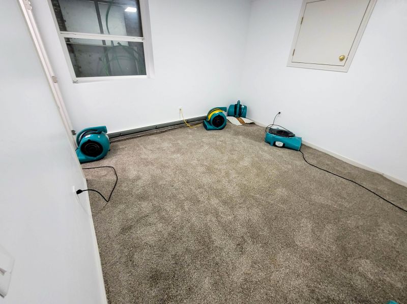Deep Carpet Restoration